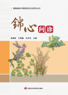 锦心问诊