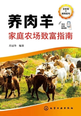 养肉羊家庭农场致富指
