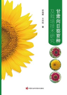 甘肃向日葵育种及栽培
