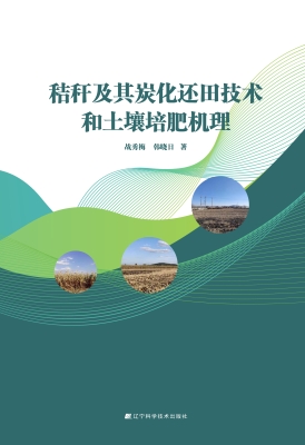 秸秆及其炭化还田技术