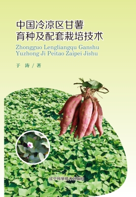 中国冷凉区甘薯育种及