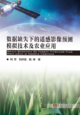 数据缺失下的遥感影像