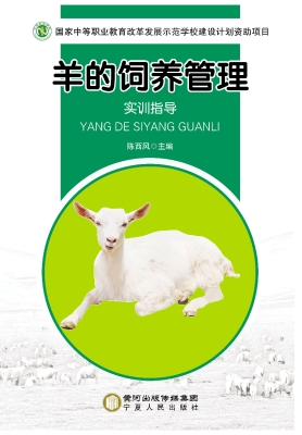 羊的饲养管理
