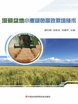 塔额盆地小麦绿色高效