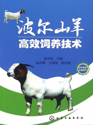 波尔山羊高效饲养技术