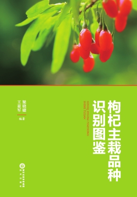 枸杞主栽品种识别图鉴