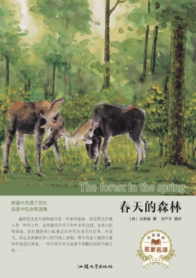 春天的森林