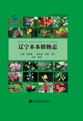 辽宁木本植物志