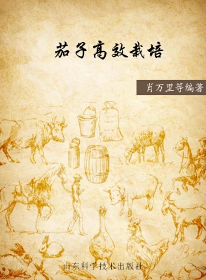 茄子高效栽培