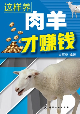 这样养肉羊才赚钱