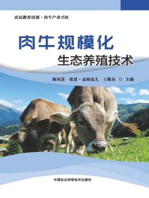 肉牛规模化生态养殖技
