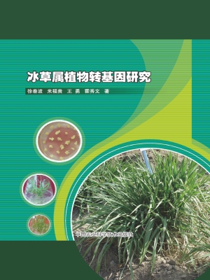 冰草属植物转基因研究