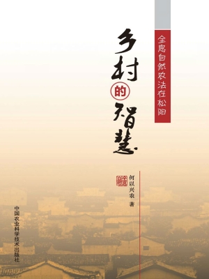 乡村的智慧——全息自