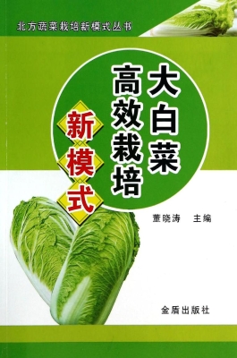 大白菜高效栽培新模式