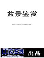 盆景鉴赏