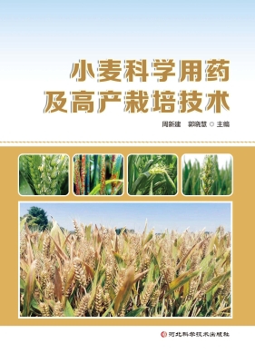 小麦科学用药及高产栽