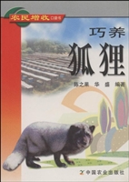 巧养狐狸