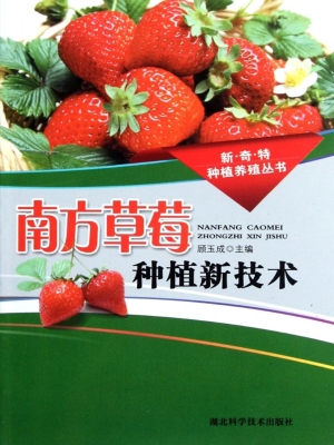 南方草莓种植新技术