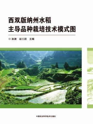西双版纳州水稻主导品