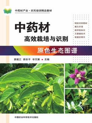 中药材高效栽培与识别