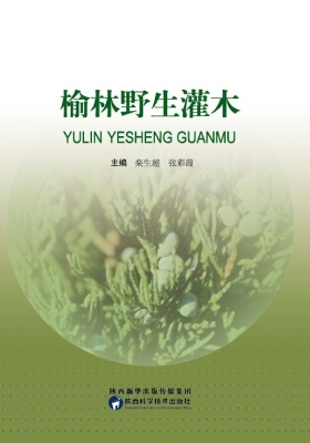 榆林野生灌木