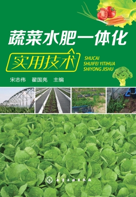 蔬菜水肥一体化实用技