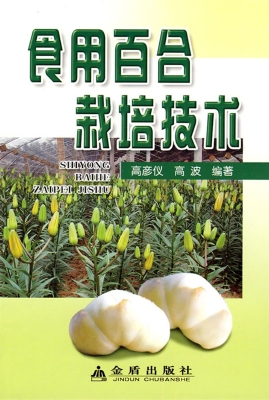 食用百合栽培技术