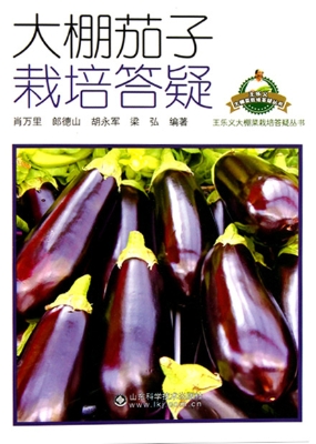 大棚茄子栽培答疑