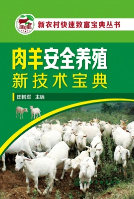 肉羊安全养殖新技术宝