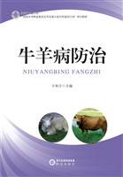 牛羊病防治