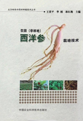 农田（非林地）西洋参栽培