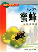 巧养蜜蜂