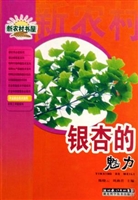 银杏的魅力