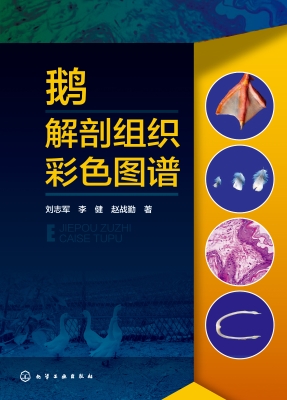 鹅解剖组织彩色图谱