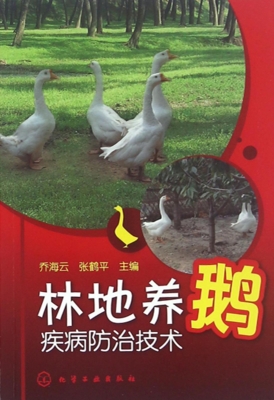 林地养鹅疾病防治技术