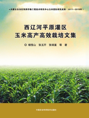 西辽河平原灌区玉米高