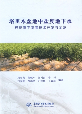 塔里木盆地中盐度地下