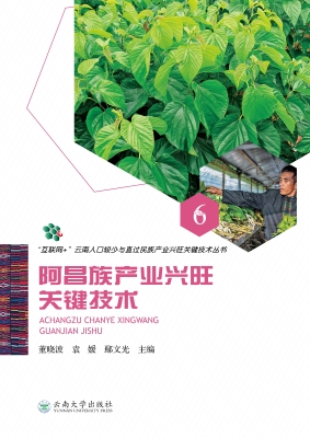 阿昌族产业兴旺关键技
