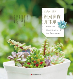 识别多肉并不难
