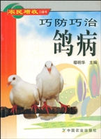 巧防巧治鸽病