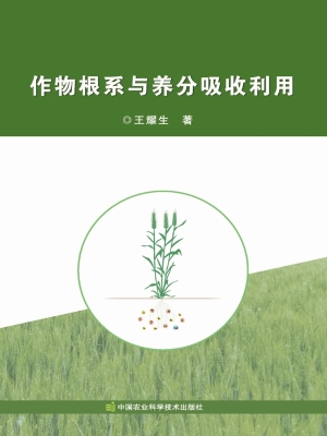 作物根系与养分吸收利