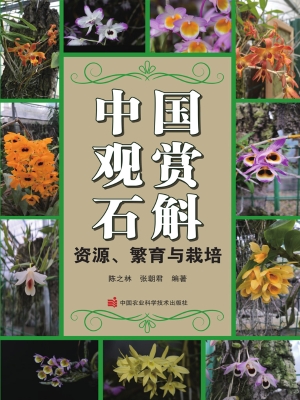 中国观赏石斛——资源