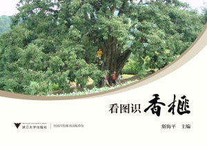 看图识香榧