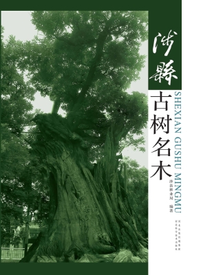 涉县古树名木