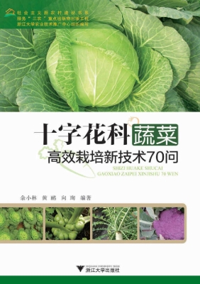 十字花科蔬菜高效栽培