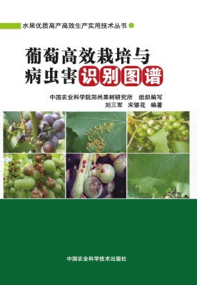 葡萄高效栽培与病虫害