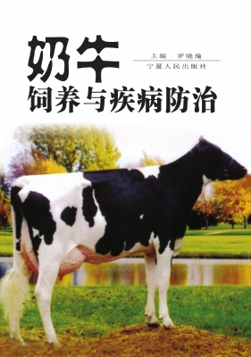奶牛饲养与疾病防治