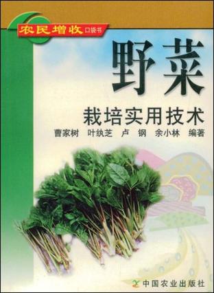 野菜栽培实用技术