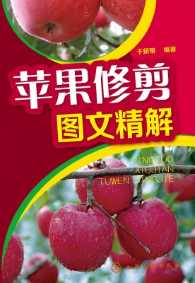 苹果修剪图文精解
