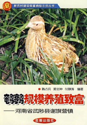鹌鹑规模养殖致富——